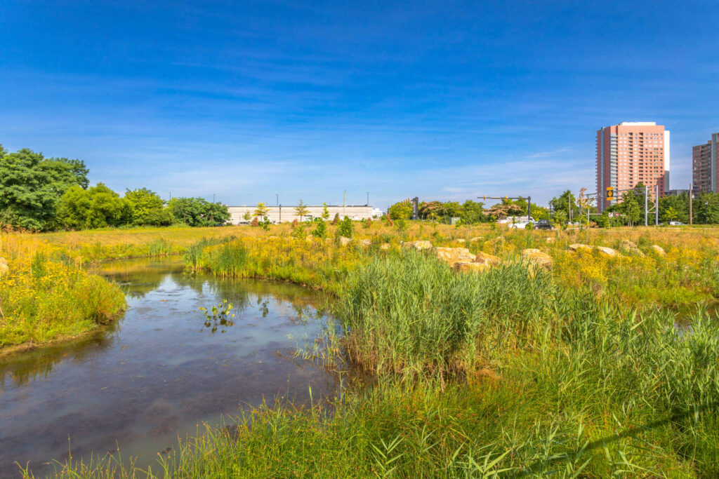 Southbridge Wilmington Wetlands Park