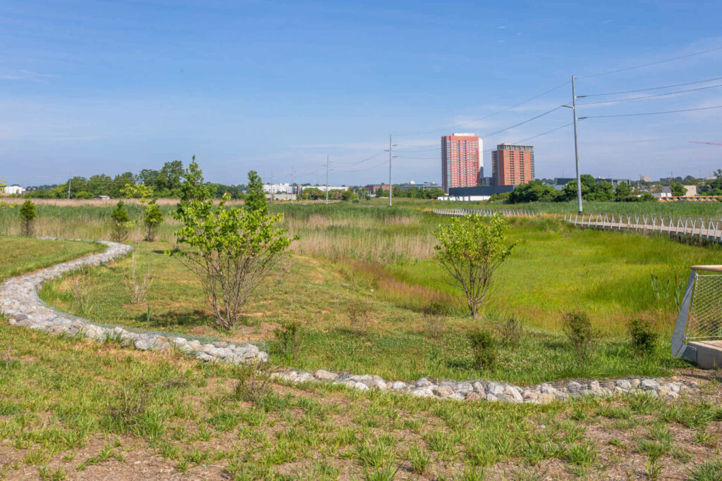 Southbridge Wilmington Wetlands Park