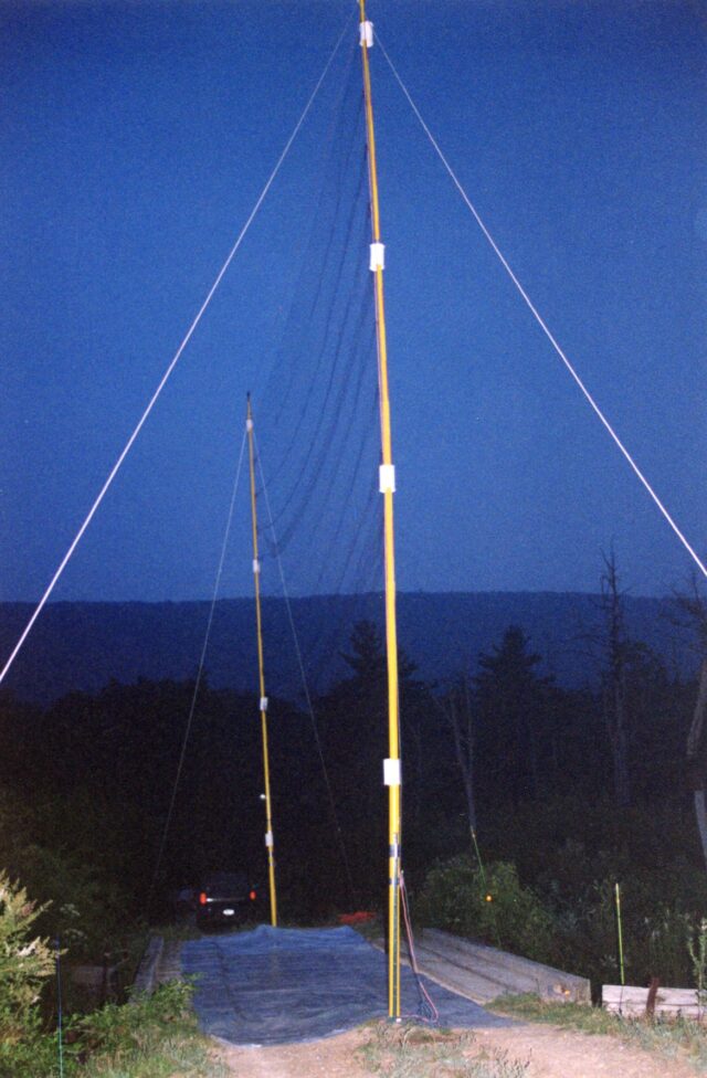 Vertical mist netting, a way to catch and sample bat populations